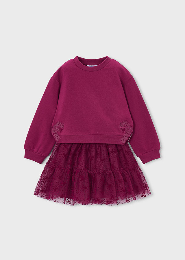 Rasberry Tulle Skirt Set