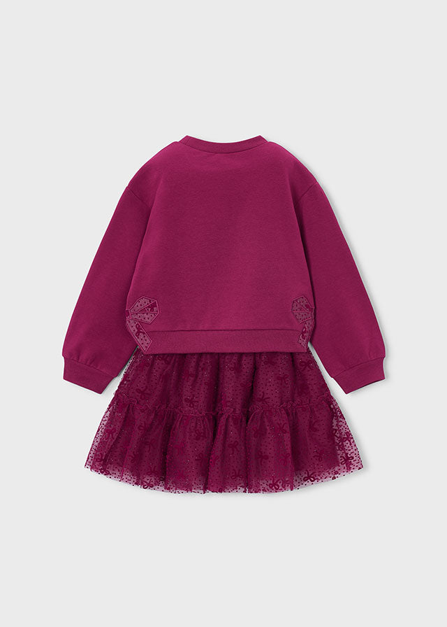 Rasberry Tulle Skirt Set