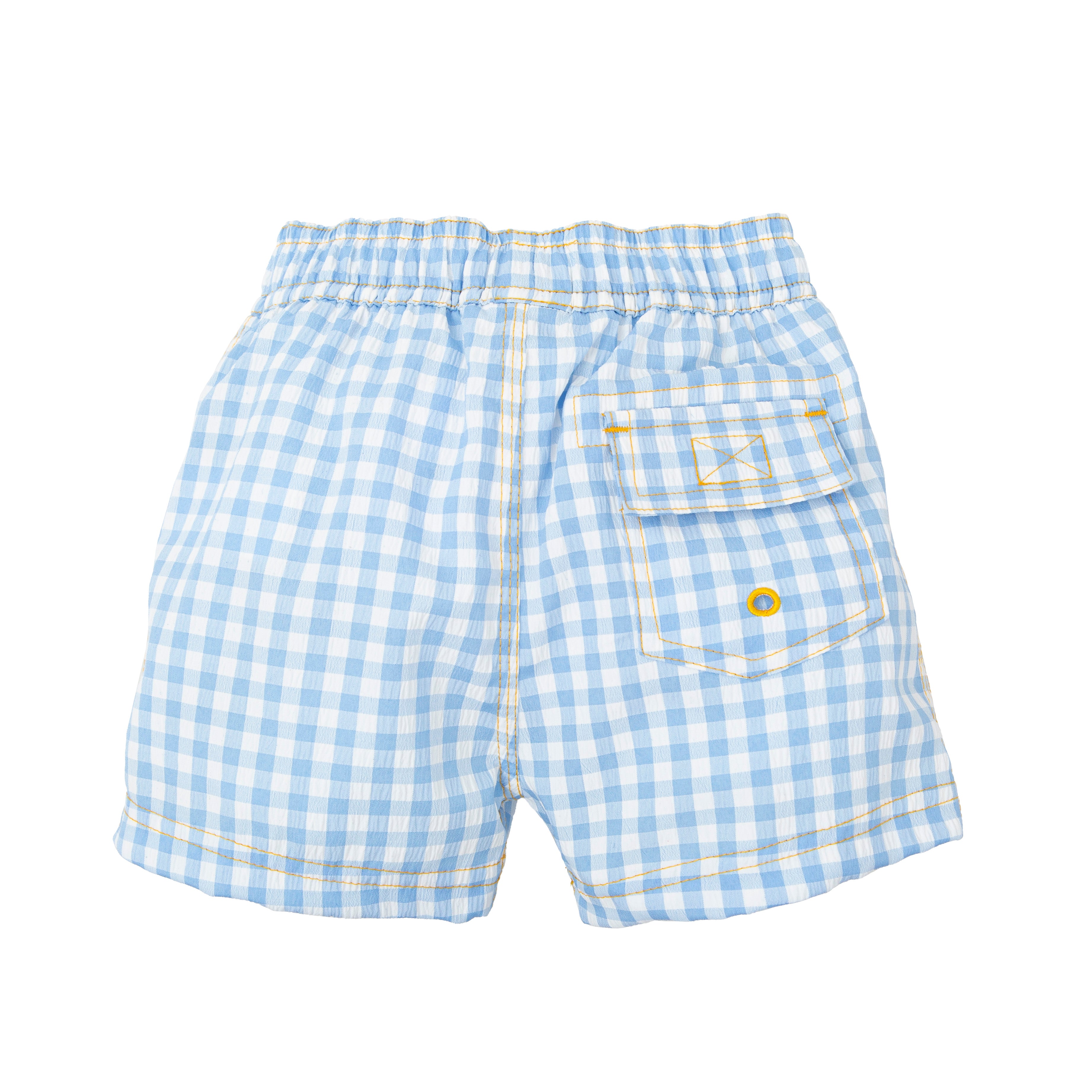 Blue Check Swim Shorts