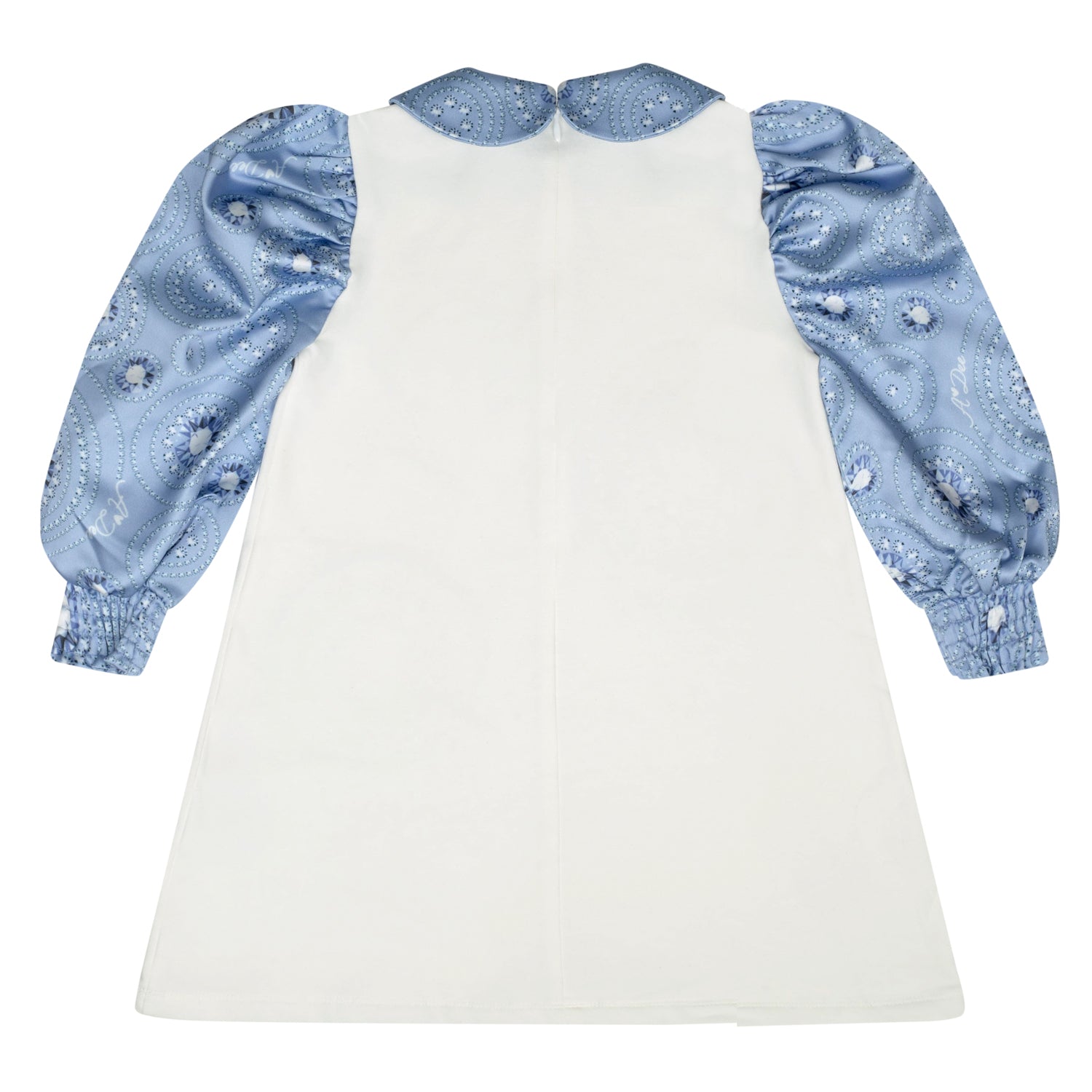 Ice Satin Print Sleeve Dress