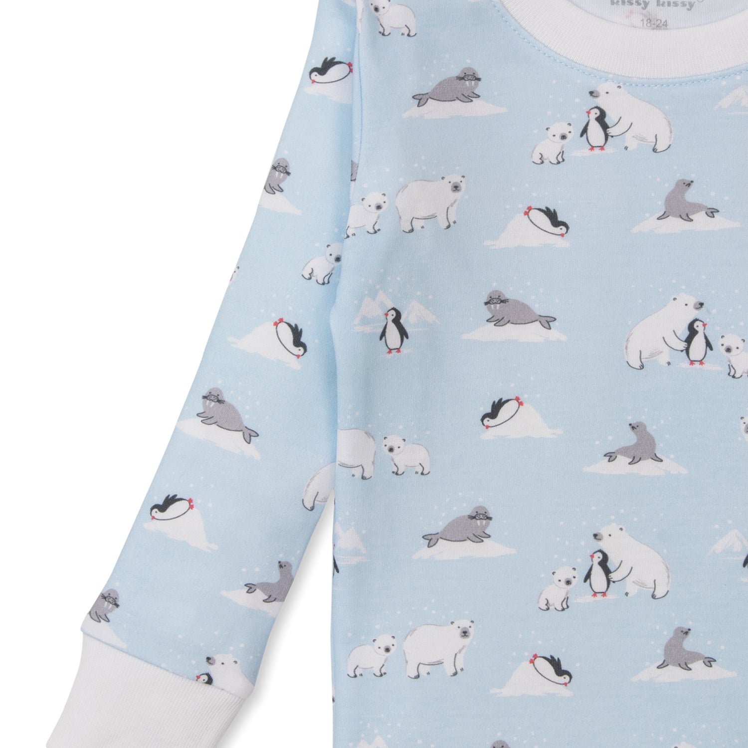 Blue Polar Artic PJS