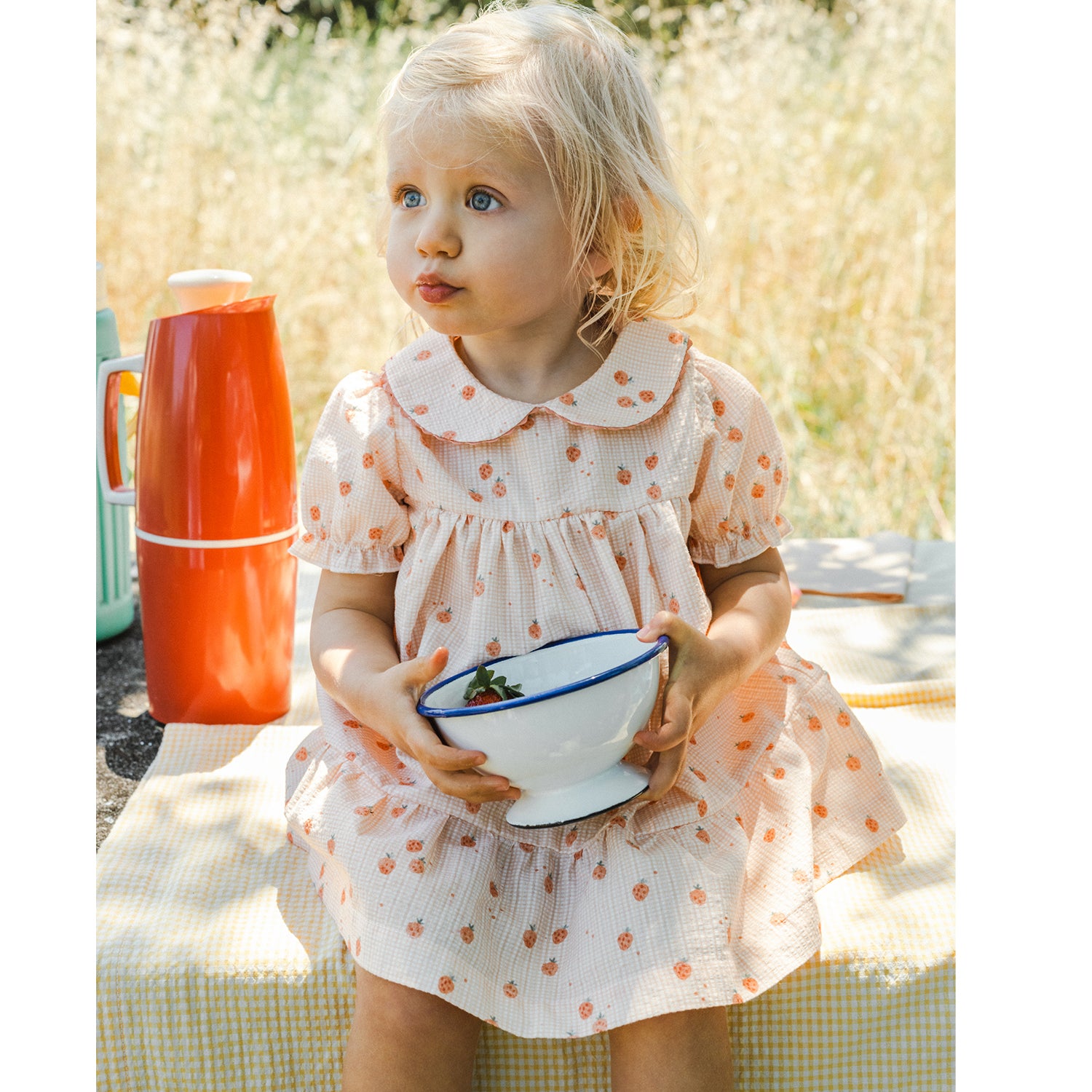 Strawberry Check Dress