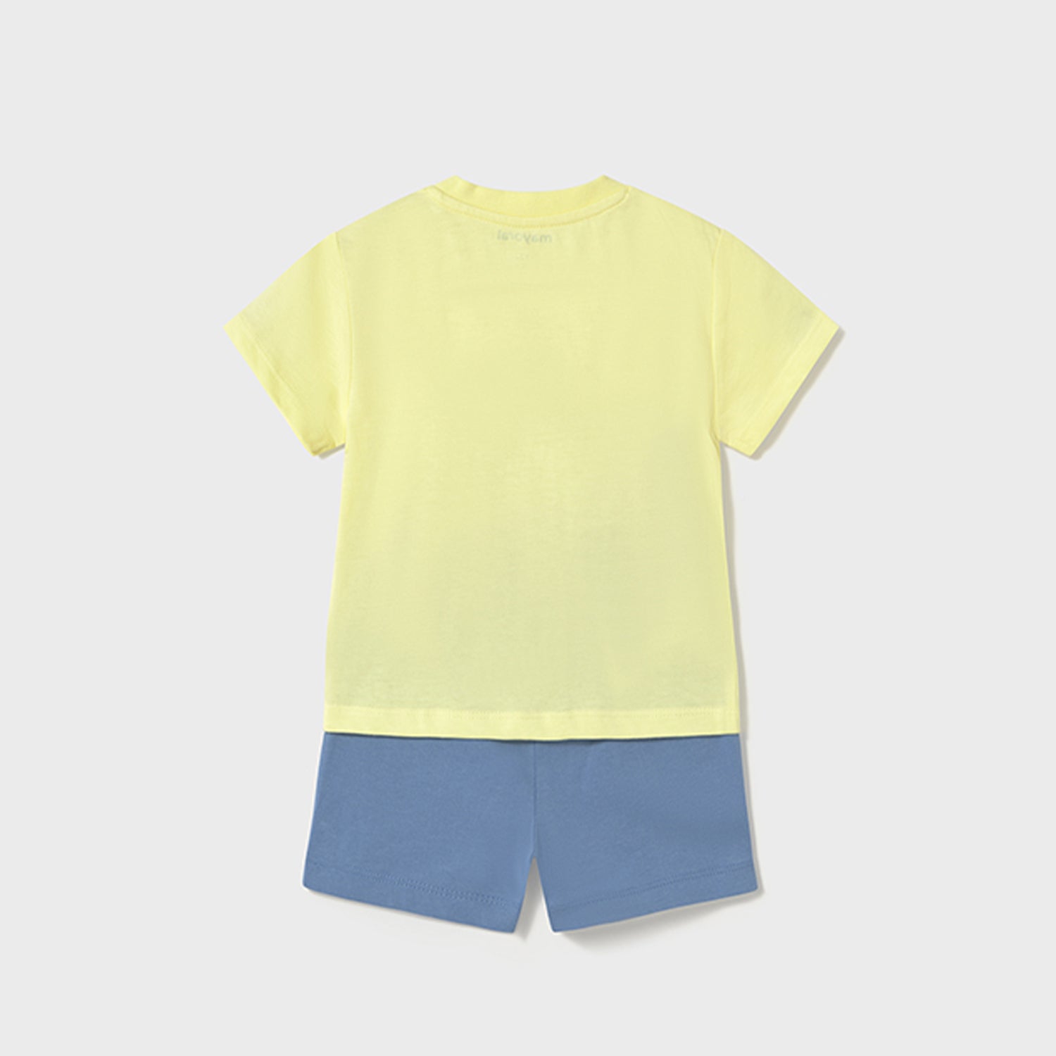 Turtle Short Set