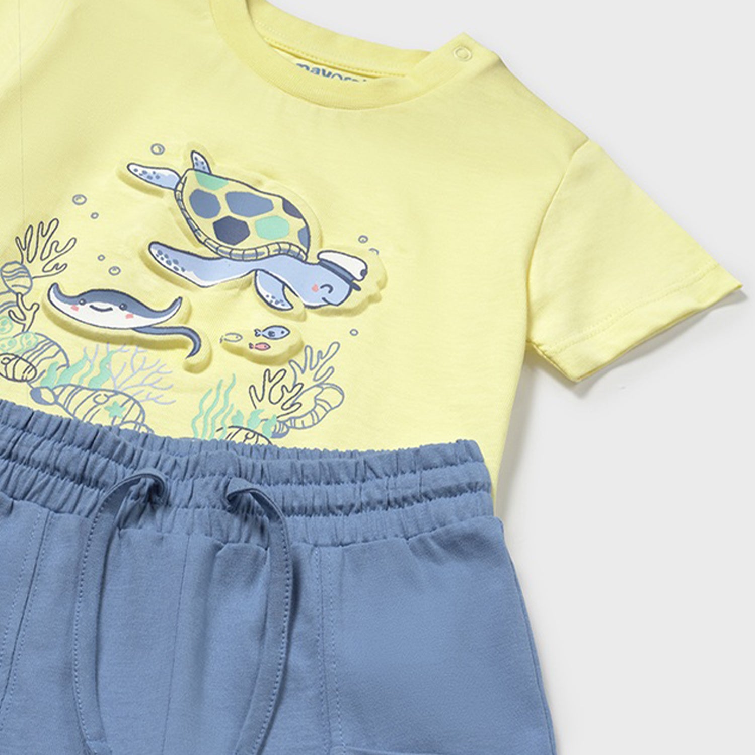 Turtle Short Set