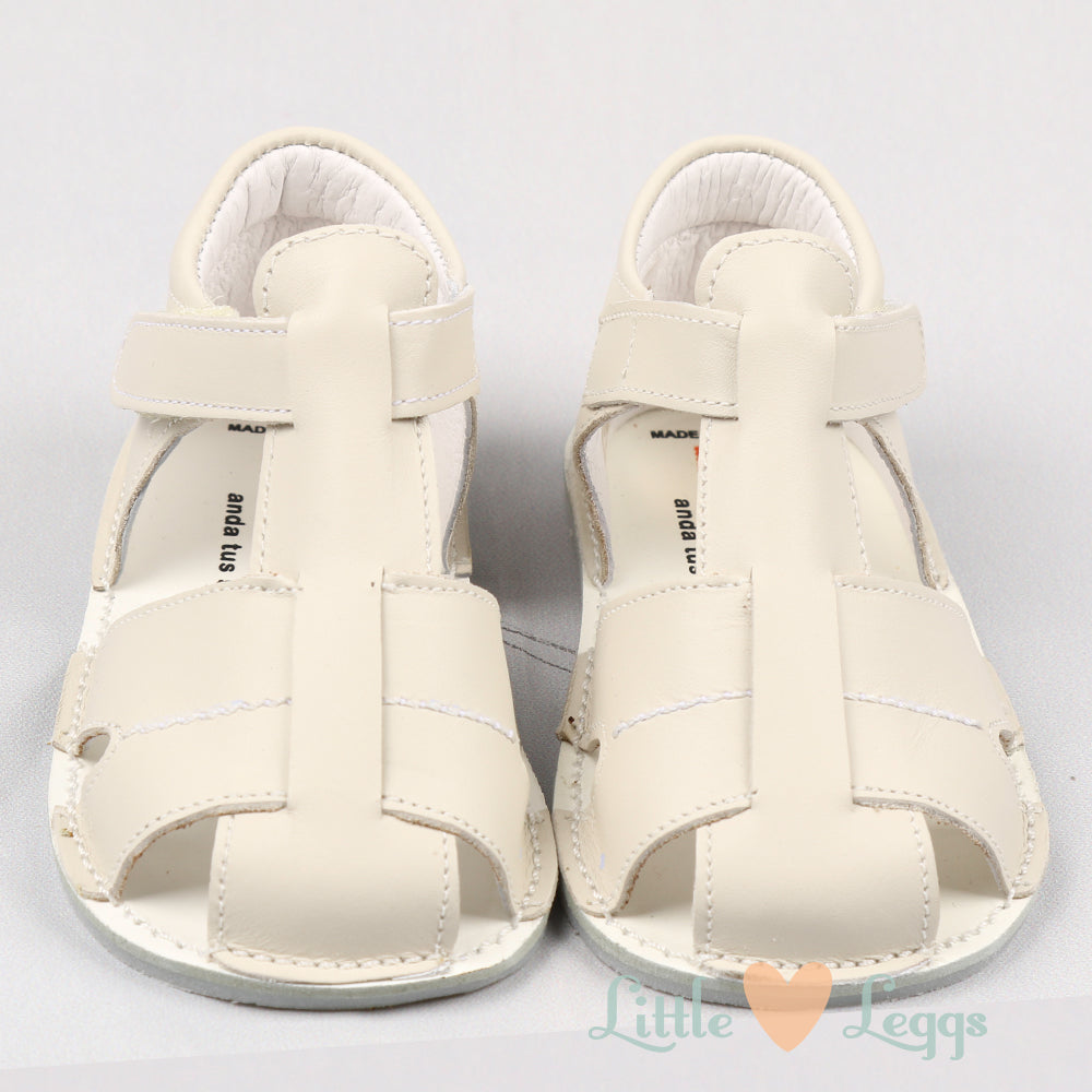 Beige Lattice Pre-Walkers