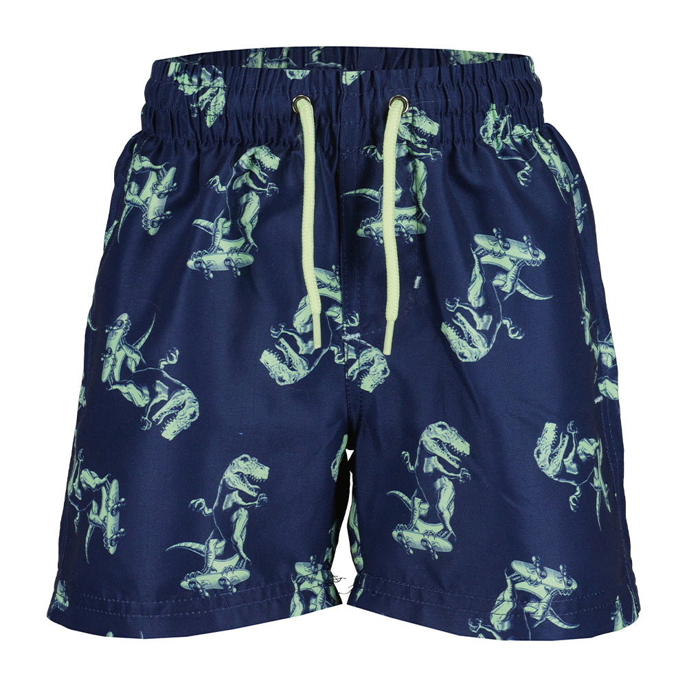Dinosaur Swim Shorts