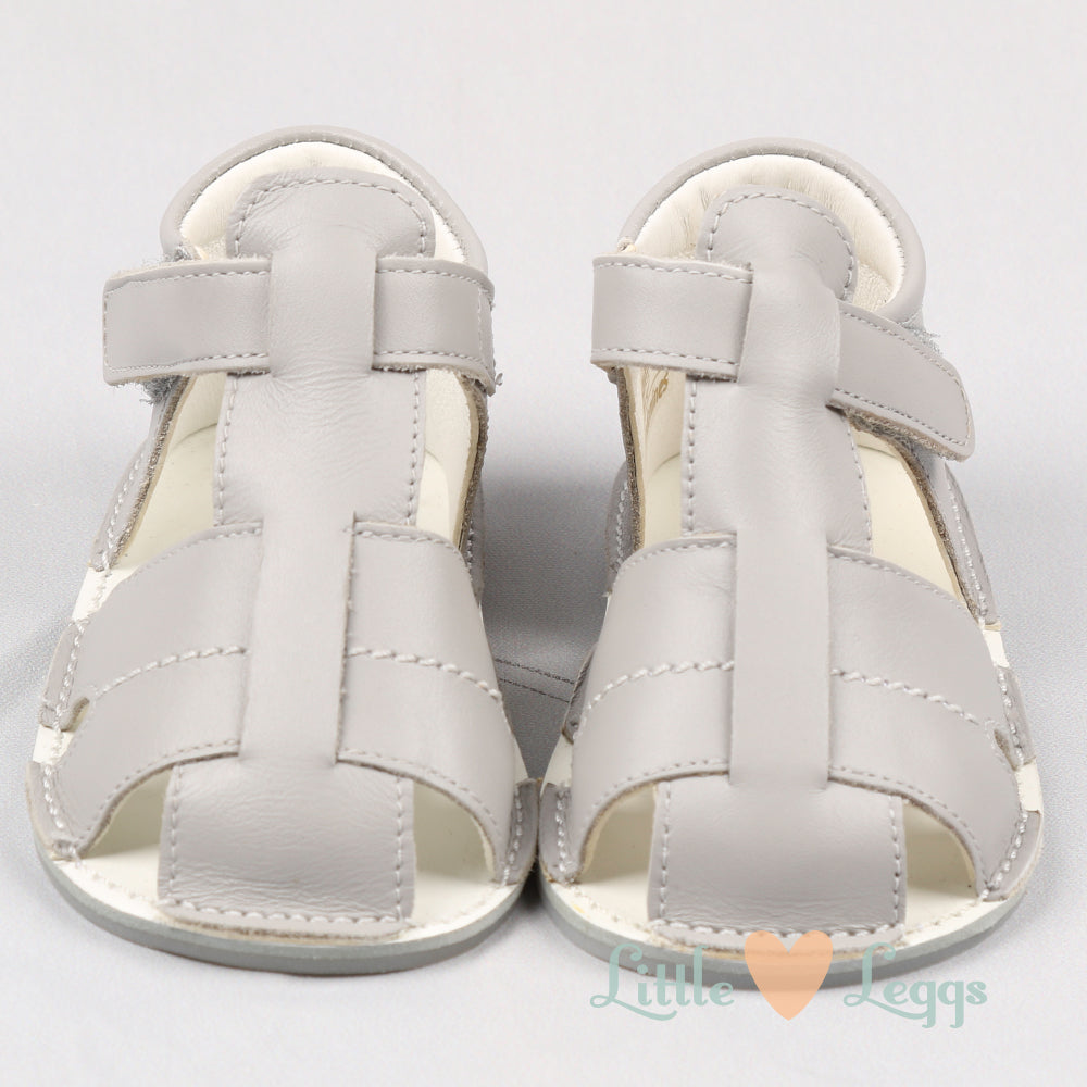 Grey Lattice Pre-Walkers