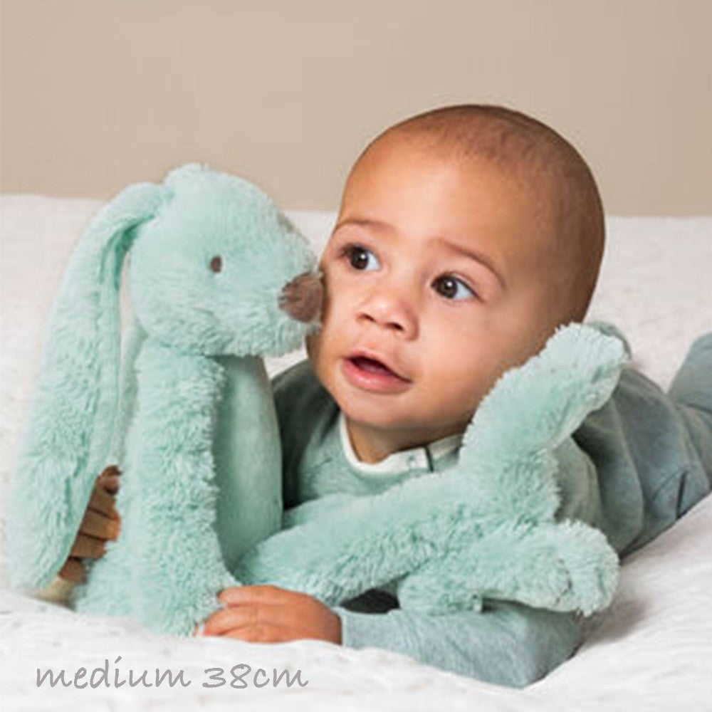 Pale Blue Rabbit Richie