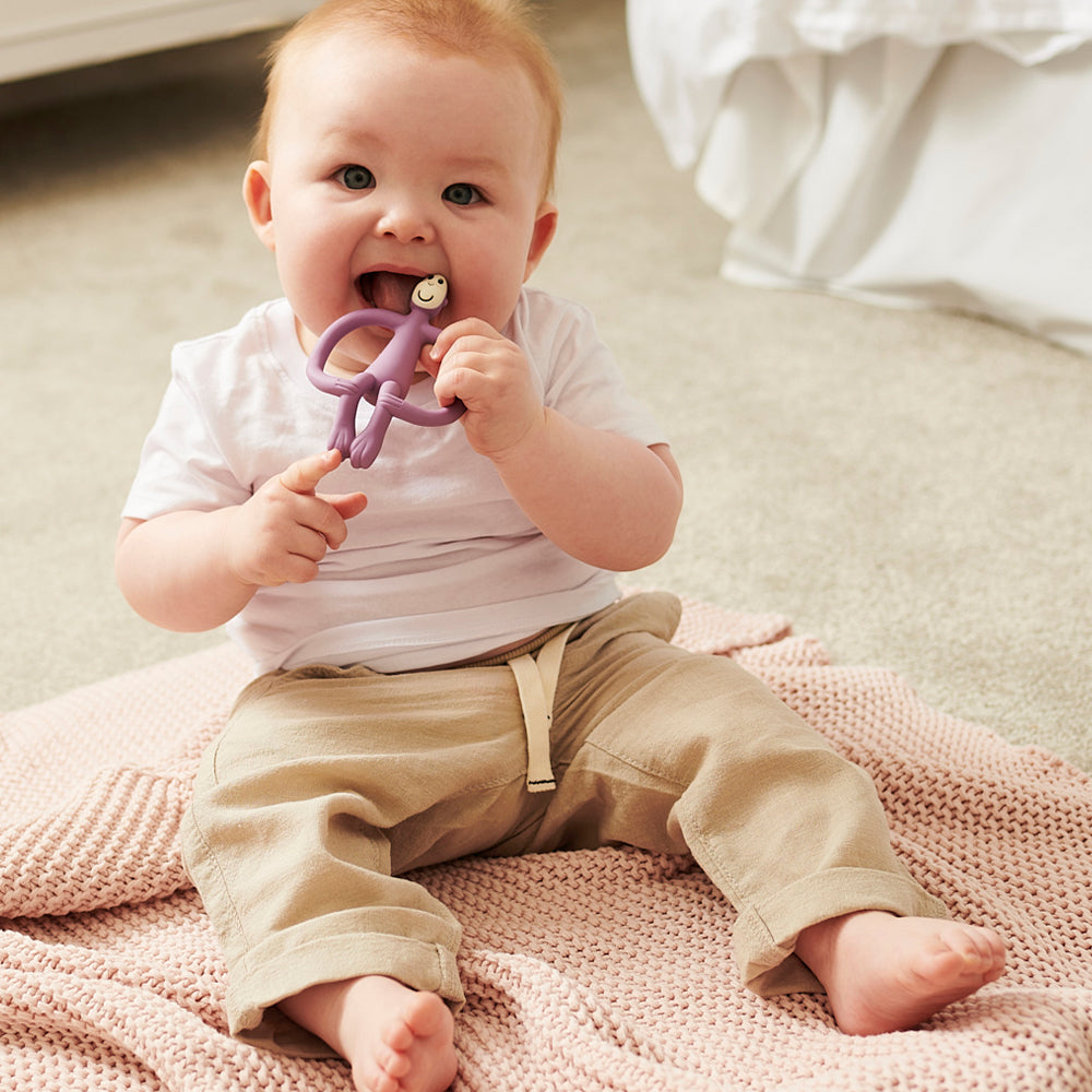 Monkey Teether - Purple