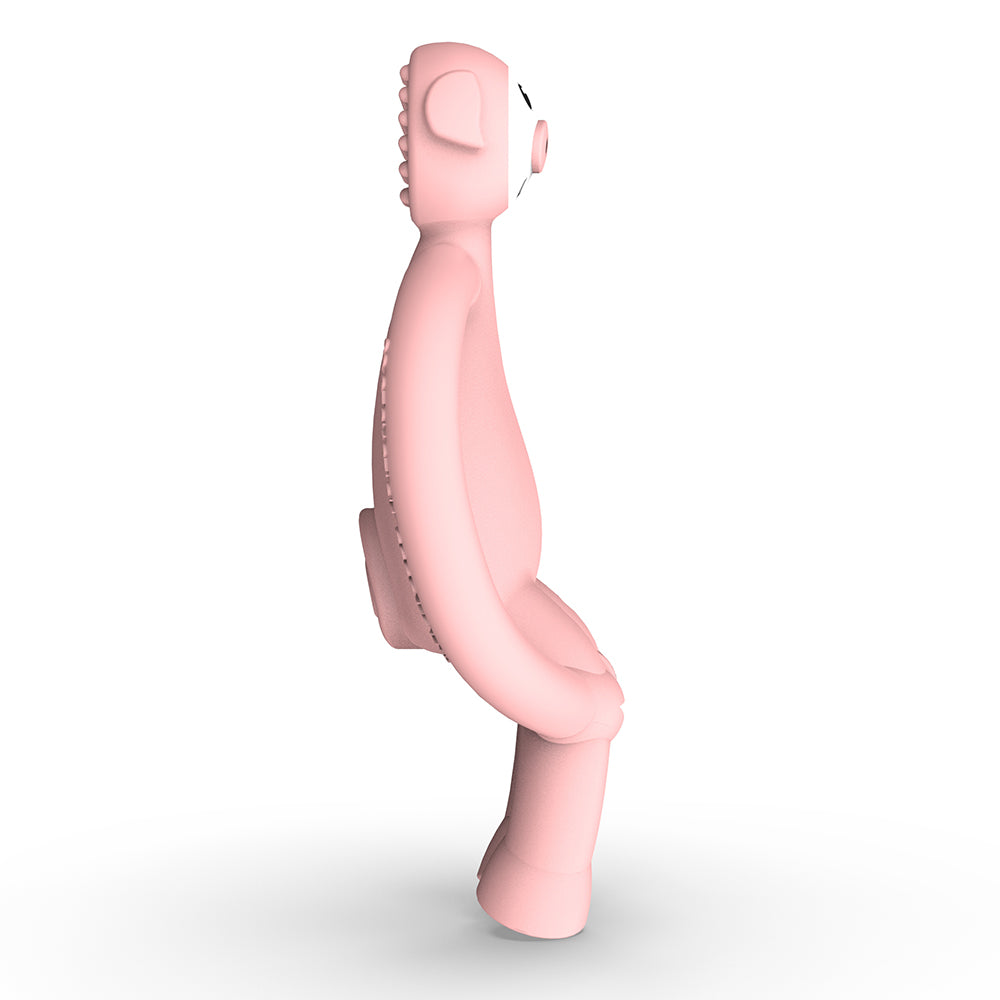 Animal Teether - Pickle Pig
