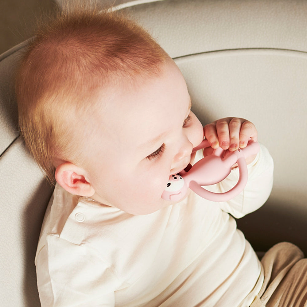 Animal Teether - Pickle Pig