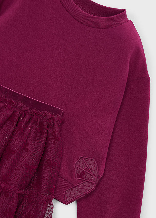 Rasberry Tulle Skirt Set