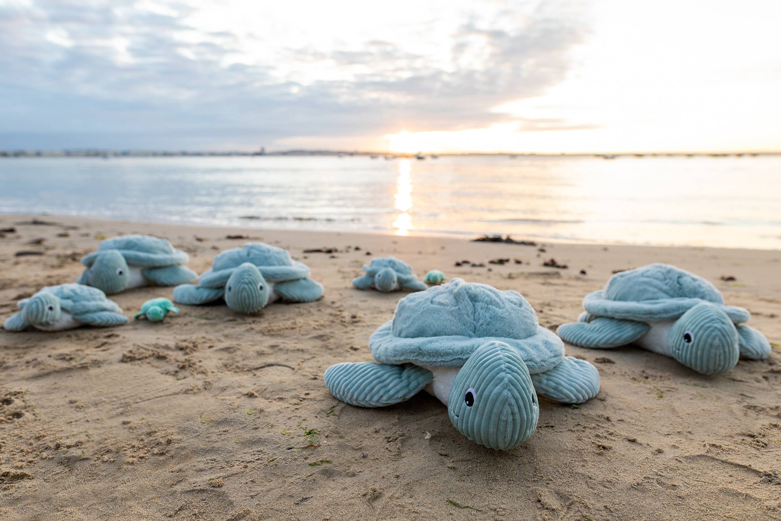 Tilly The Turtle Mum & Baby Mint - Plush Toy