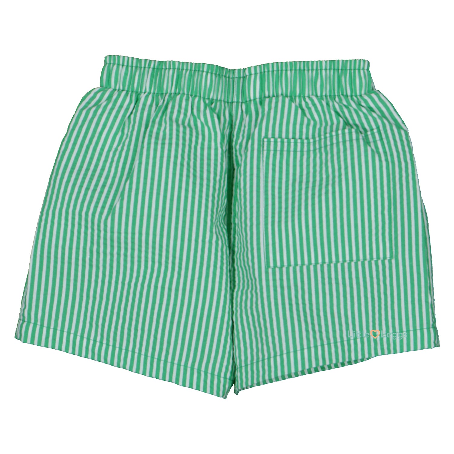 Green Stripe Swim Shorts