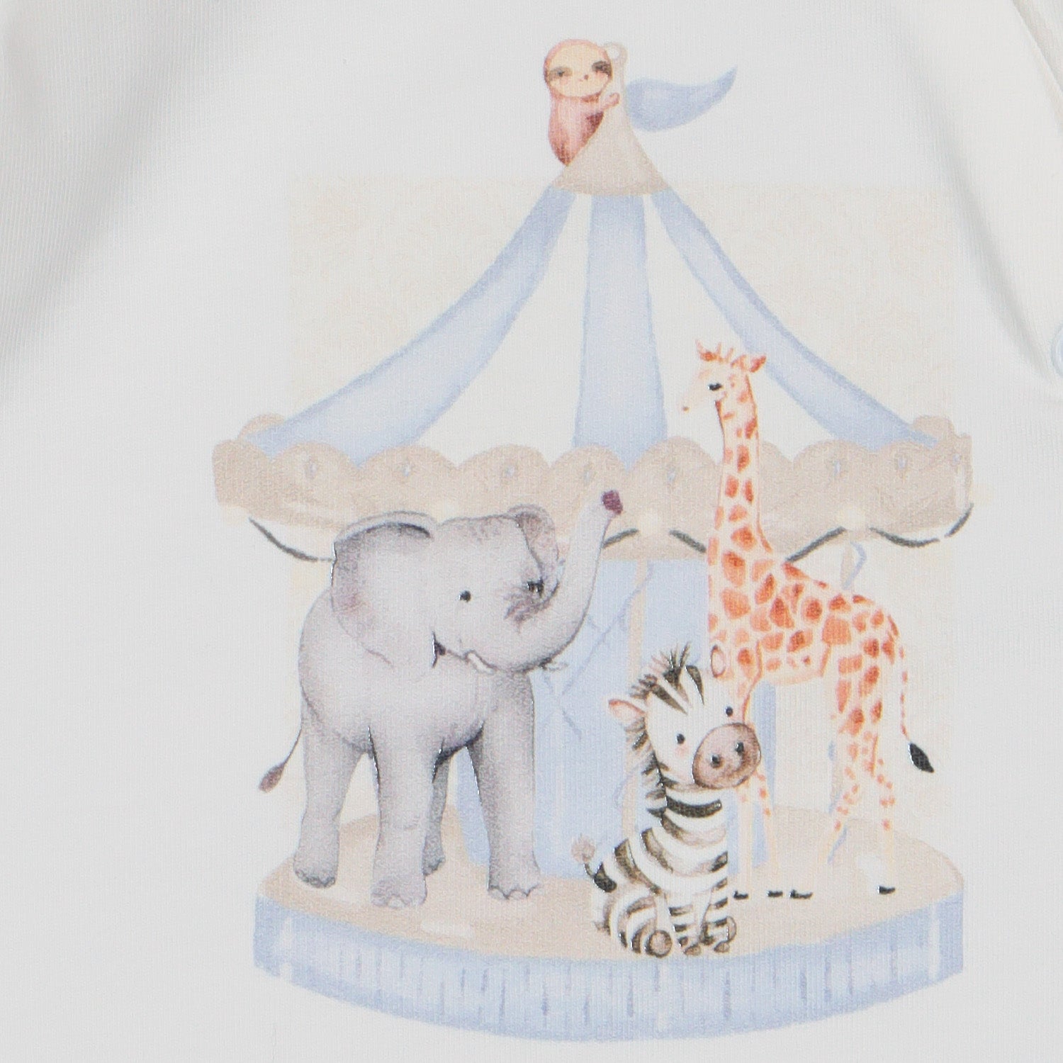 Carousel Blanket