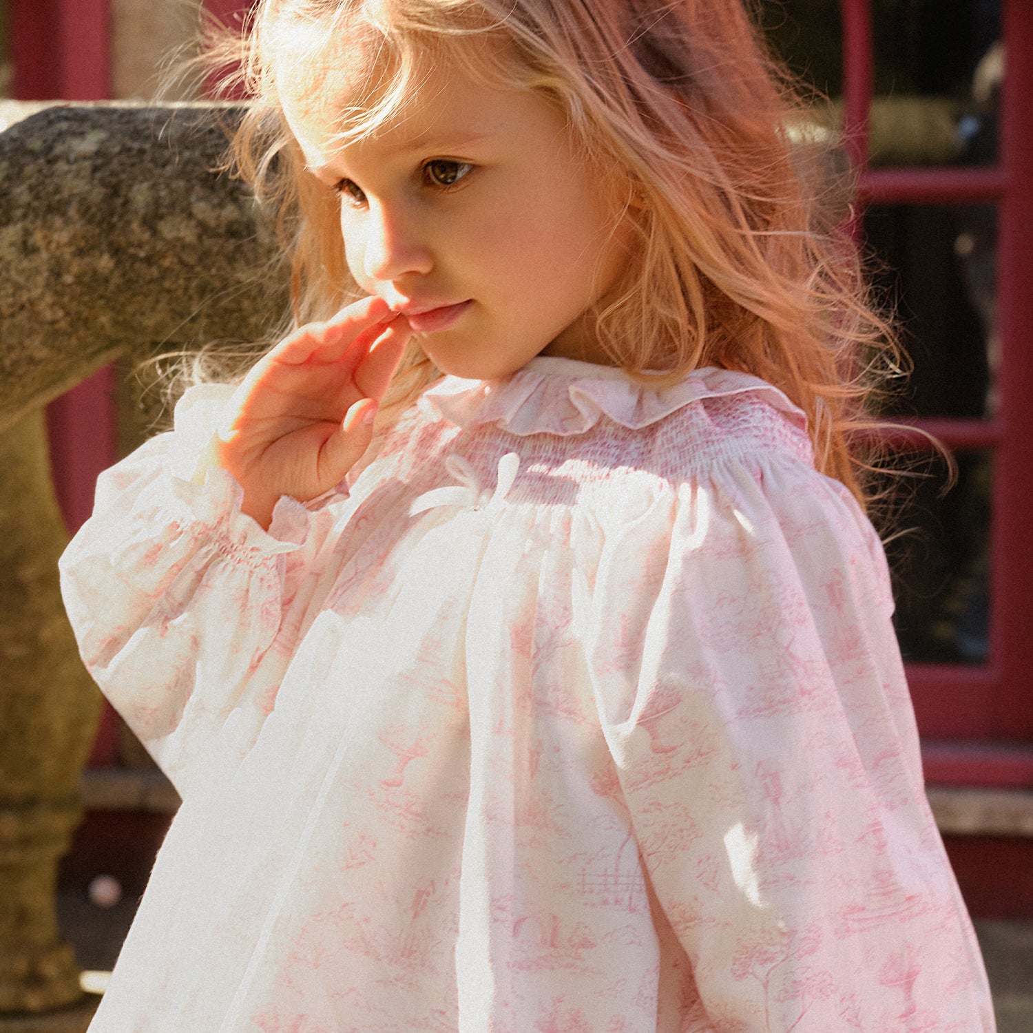 Toile De Jouy Print Dress