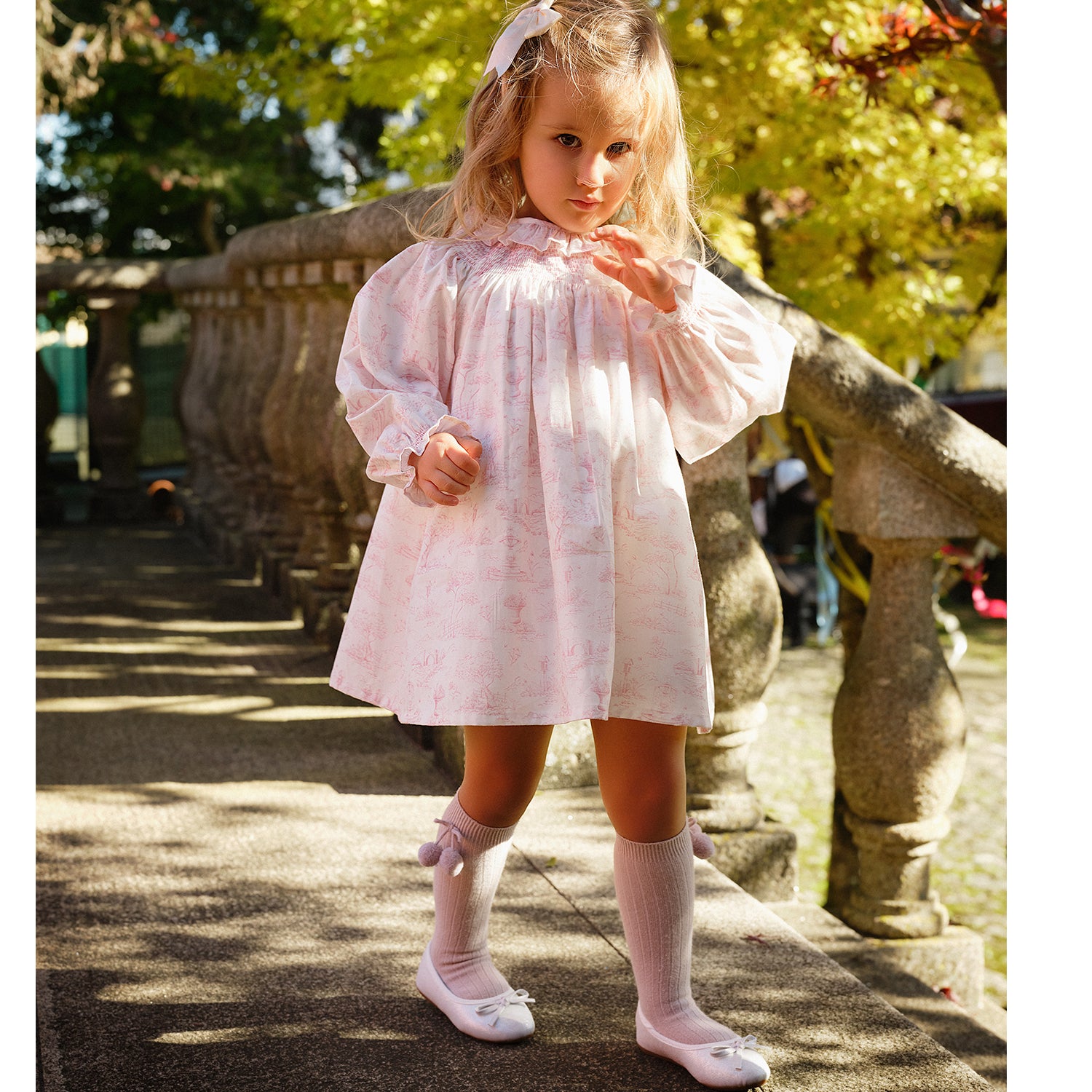 Toile De Jouy Print Dress