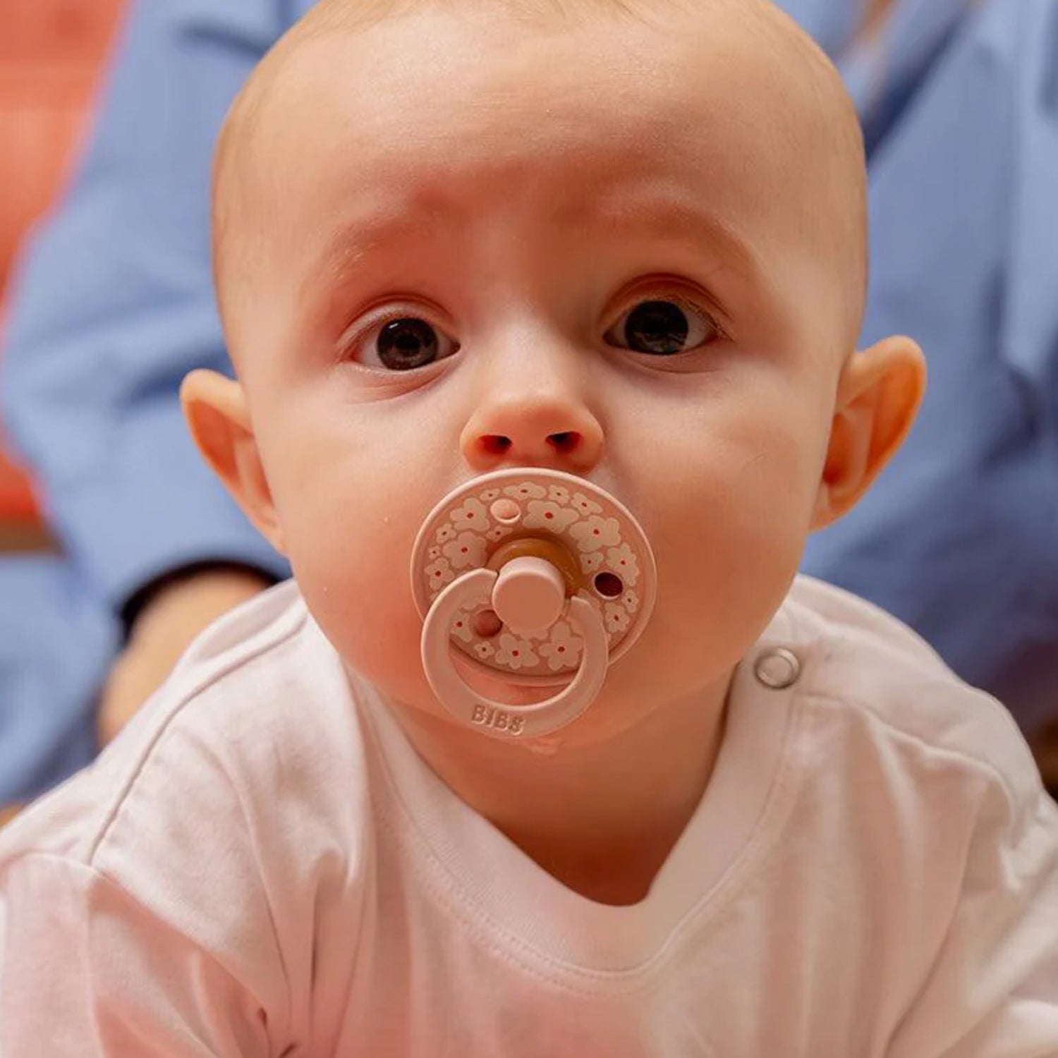 Bibs Twin  Dummy Pack - Jasmine Blush