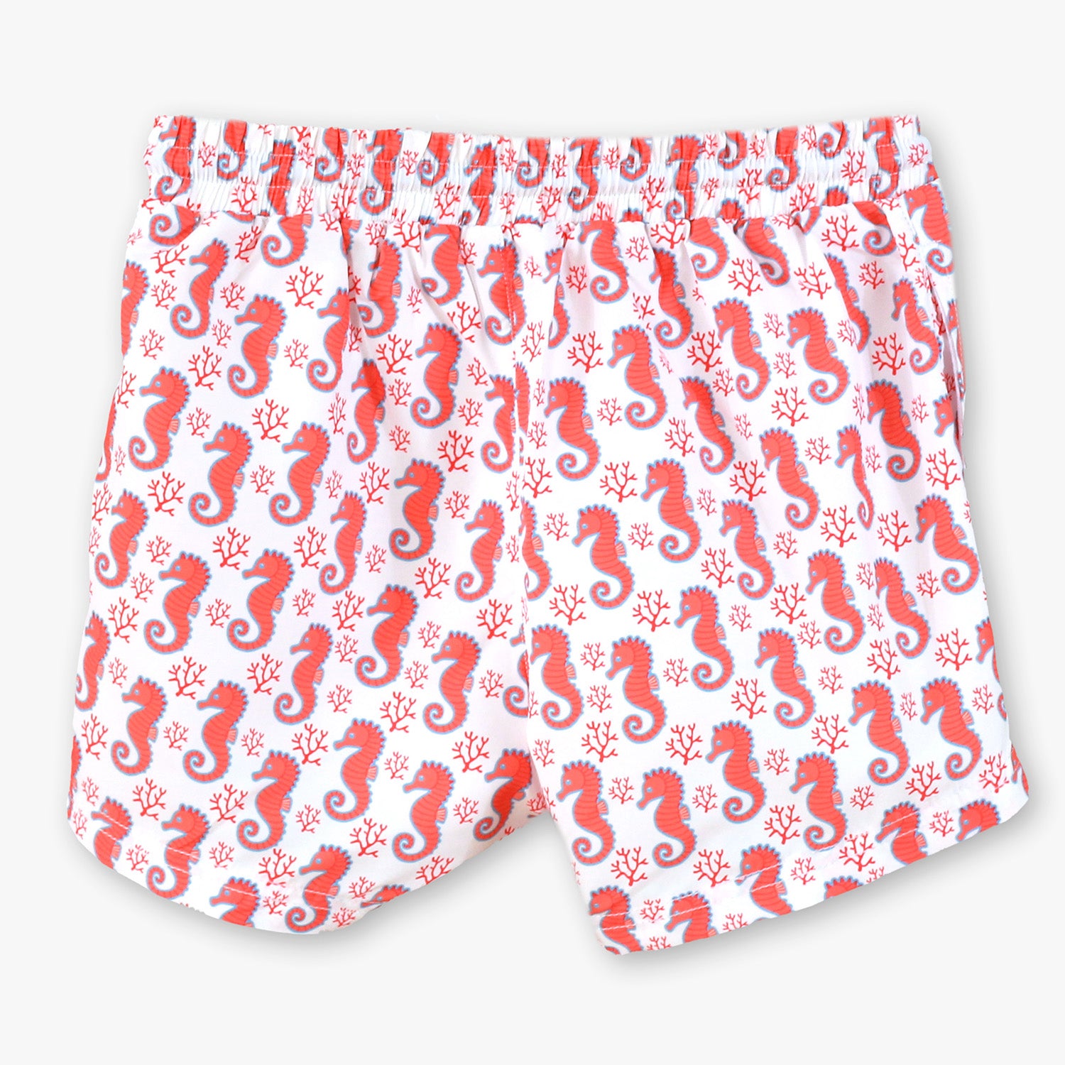 SeaHorse Swim Set