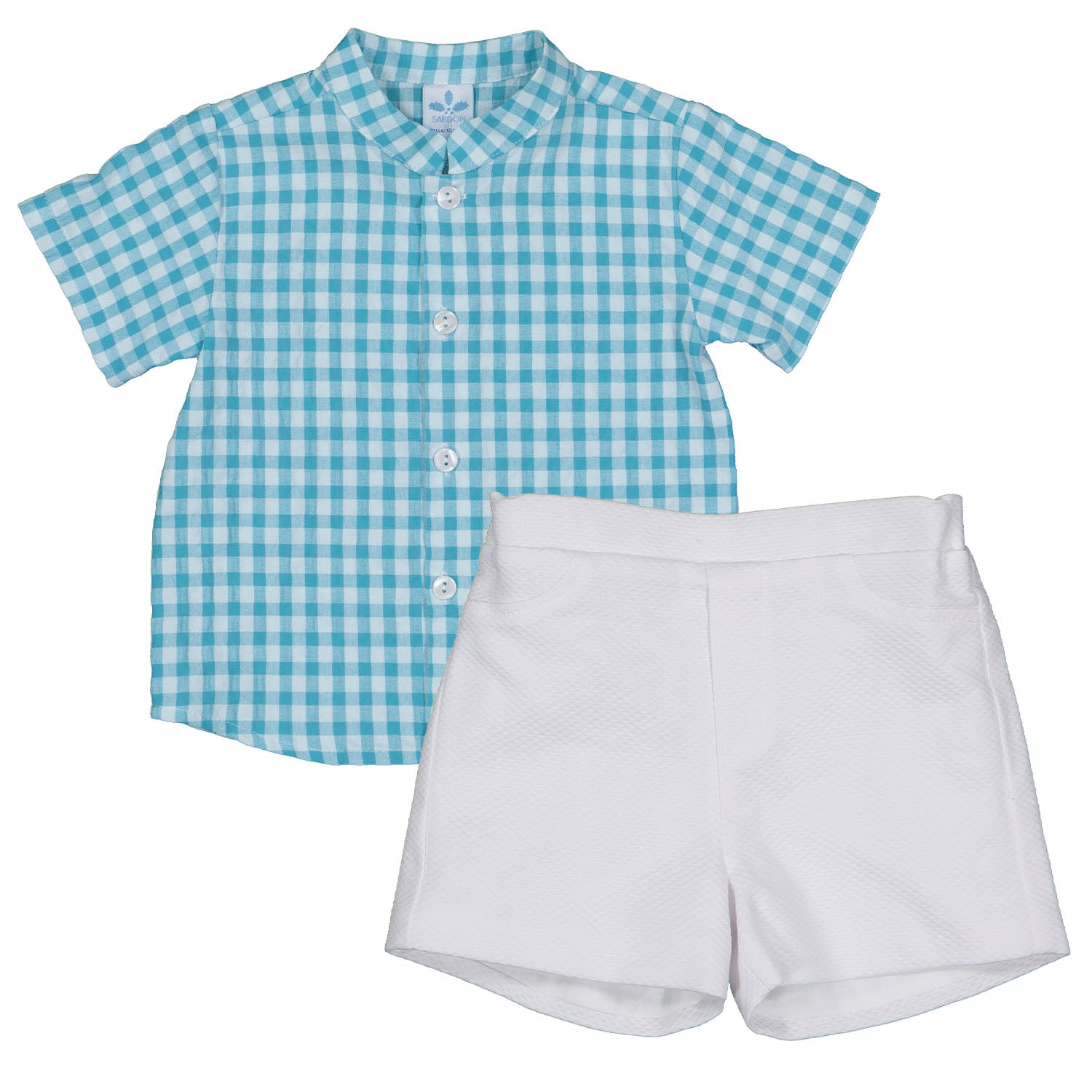 Blue Check Shirt and Shorts