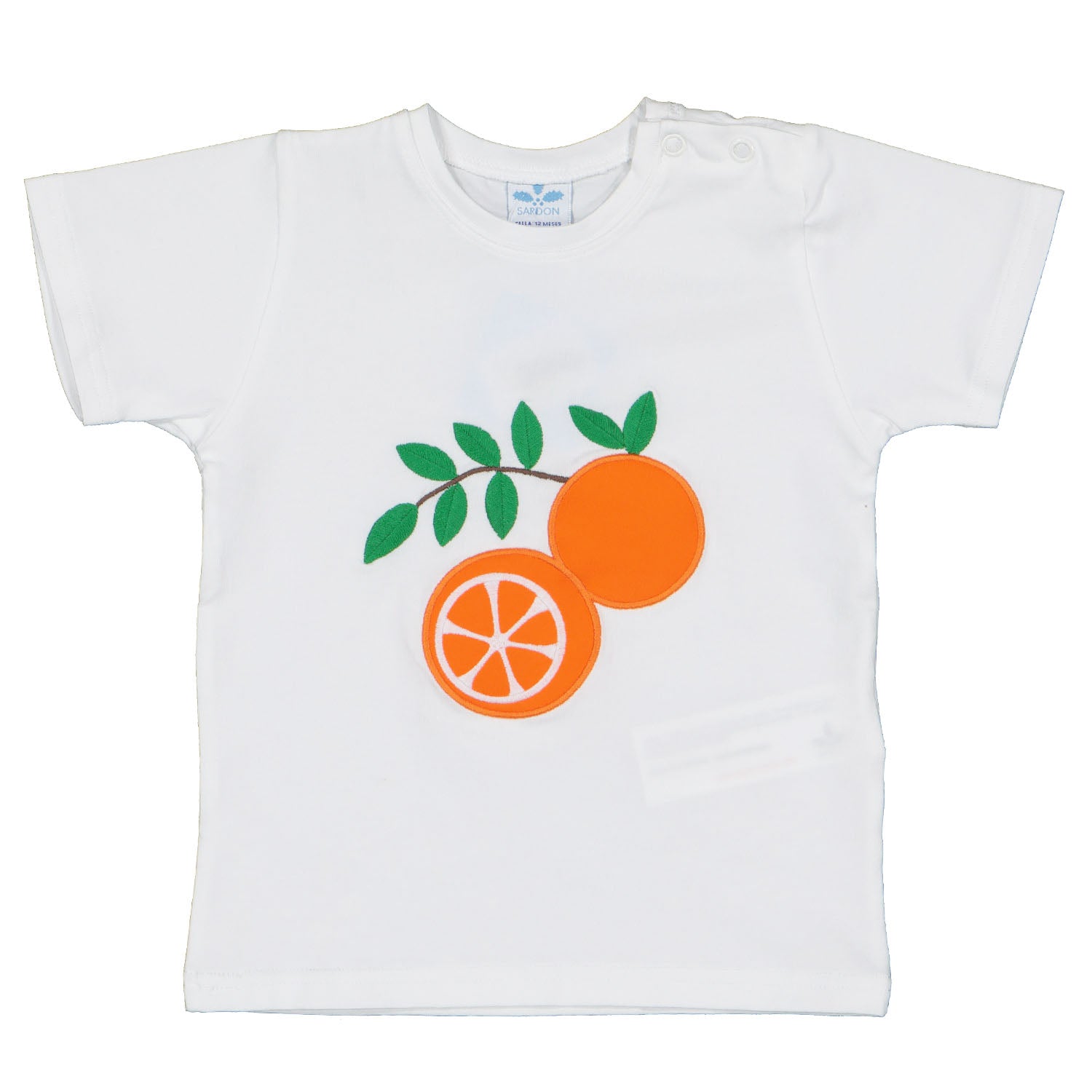 Fruit Print T-Shirt and Swim Shorts