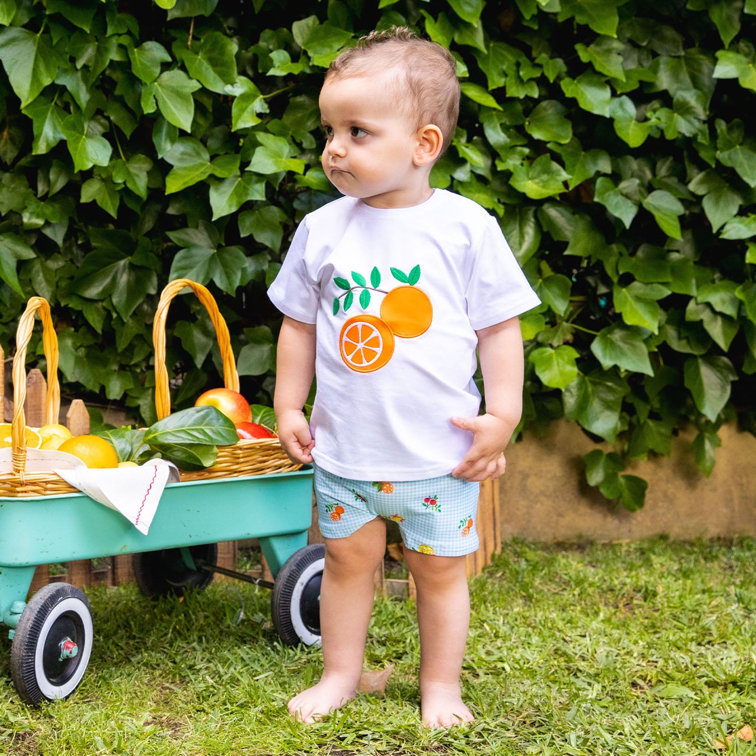 Fruit Print T-Shirt and Swim Shorts