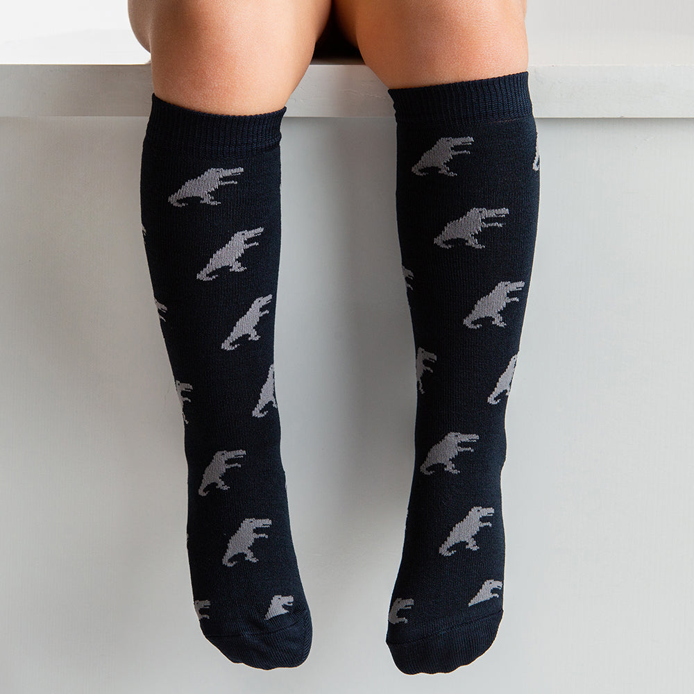 Black Dinosaur Socks