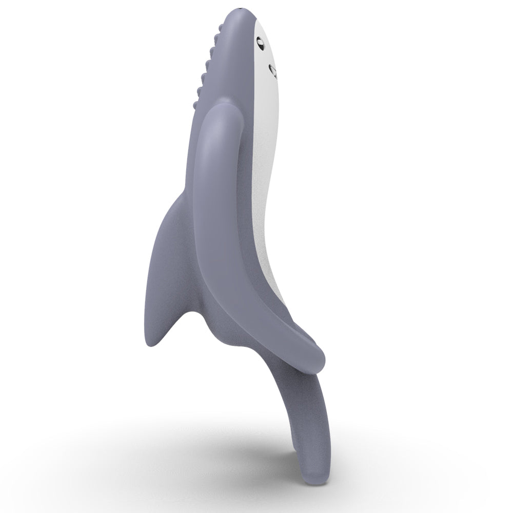 Animal Teether - Shreddy Shark